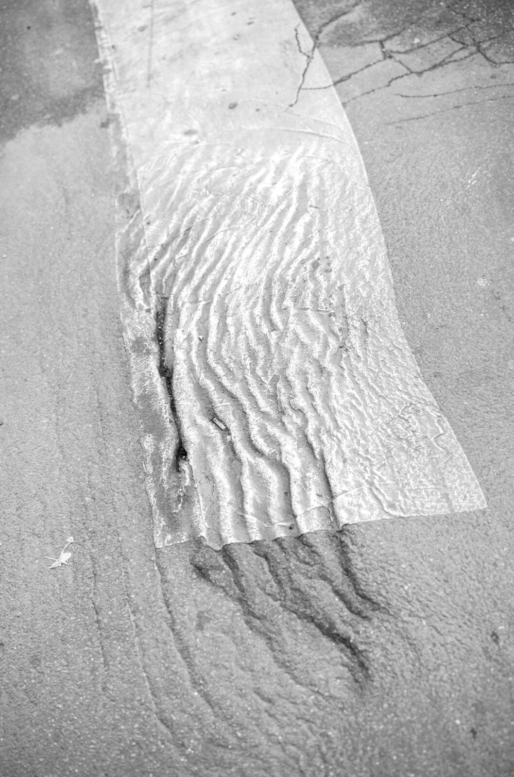 Wound